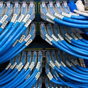 pngtree-network-cable-research-networking-tray-photo-image_22319670